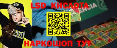дживик Кингисепп