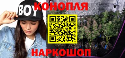 дживик Кингисепп