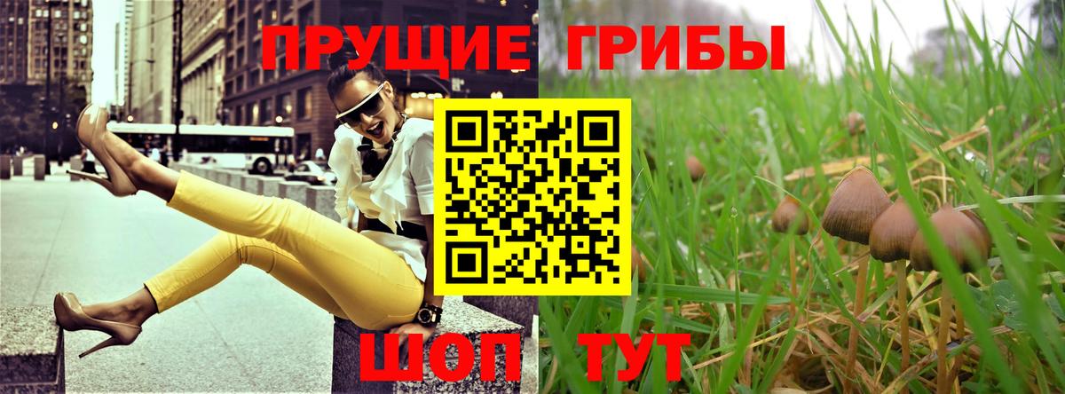 Коммунар  Галлюциногенные грибы MAGIC MUSHROOMS  Галлюциногенные грибы Psilocybe  Вход с VPN 