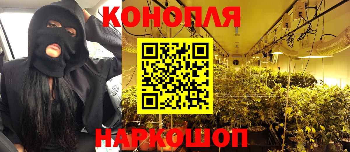 Бошки марихуана Amnesia  Марихуана сатива  Коммунар  Канабис тримм  Вход с VPN 